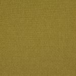Cavendish Olive